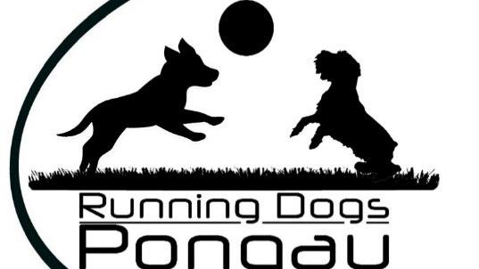Running Dogs Pongau